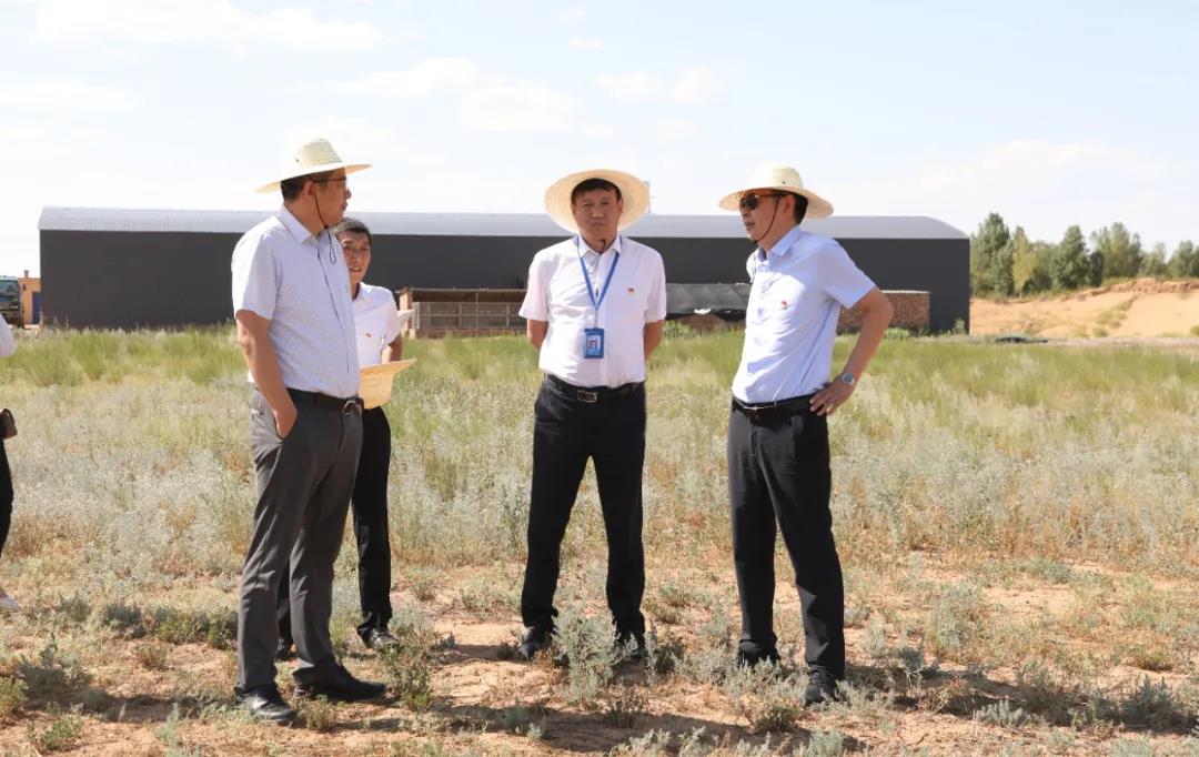 1627900219751227.jpeg 董事长.jpg