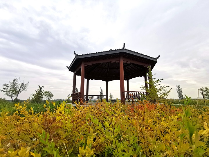 1631951103473643.jpeg ͤ×Ó.jpg