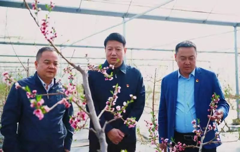 1650850540436612.jpeg ÕÕÆ¬1.jpg