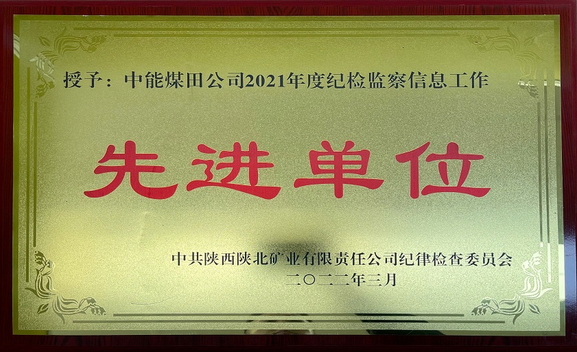 ����008PG����ú�﹫˾2021��ȼͼ�����Ϣ���� �Ƚ���Ԫ �й������±���ҵ�������ι�˾���ɲ鳭ίԱ�� 202��3��.jpg