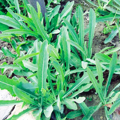 1653982256588172.png ÕÕÆ¬.png