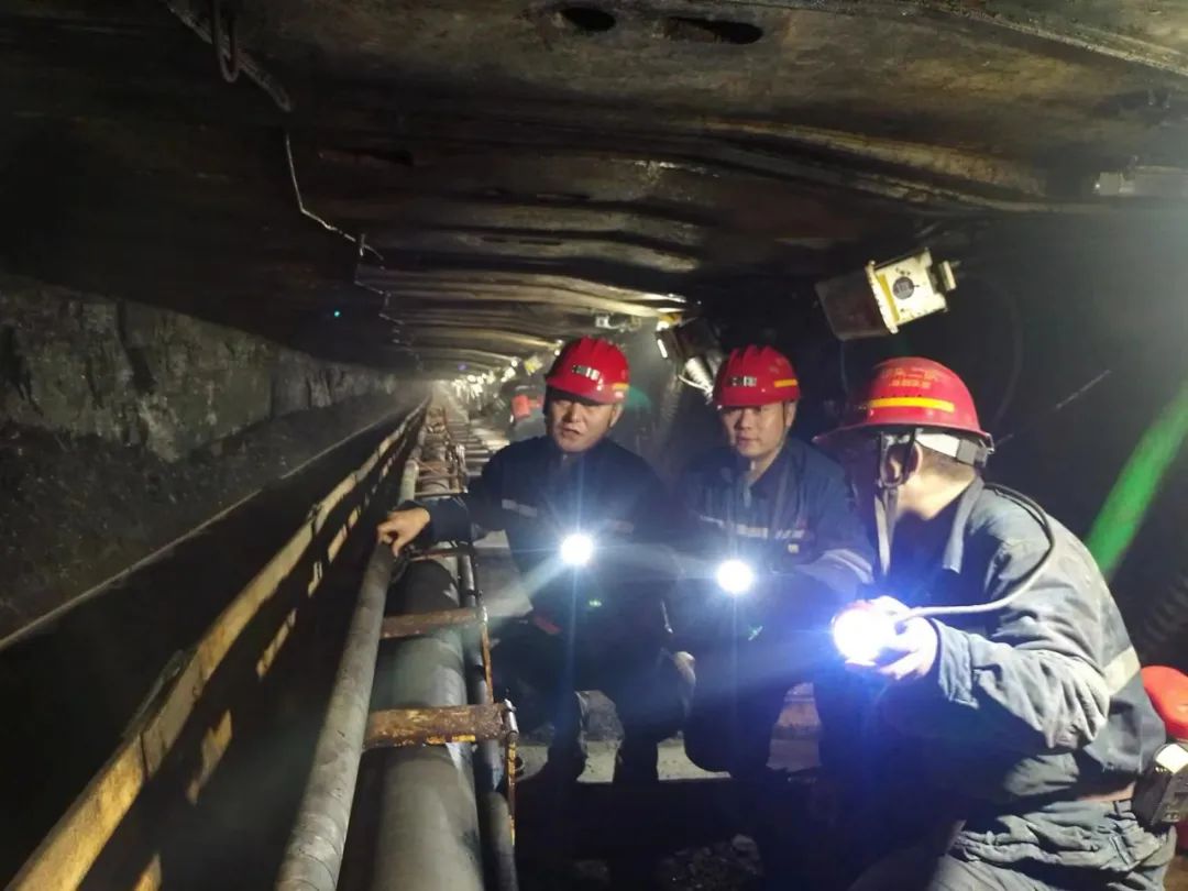 1699404328388881.jpeg 1699404328388881.jpeg