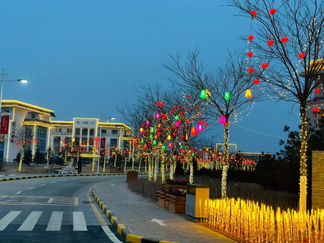 1707439854325483.jpeg 1.jpg