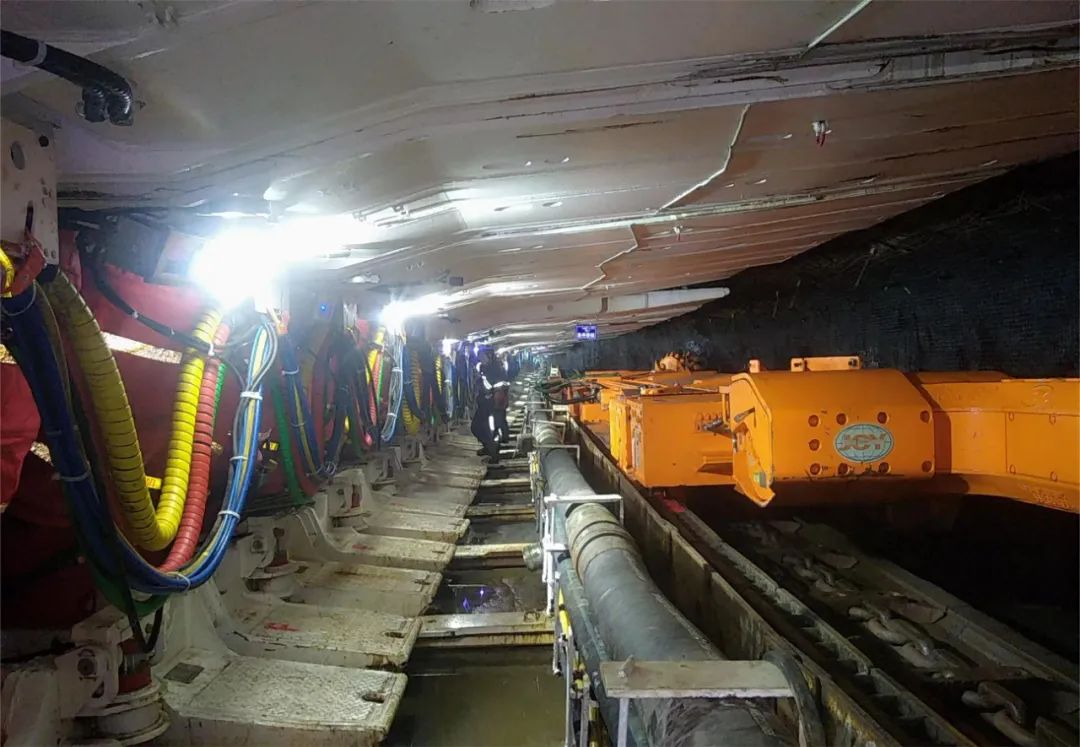 1710124022920827.jpeg 1.jpg