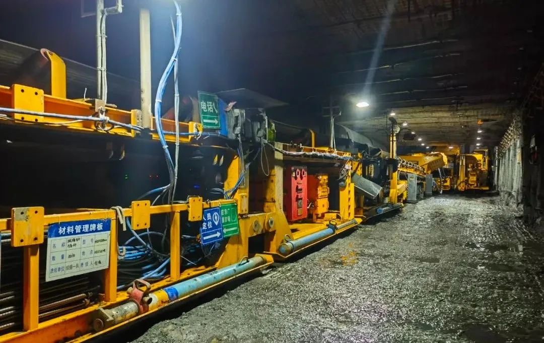 1711517966996797.jpeg 2.jpg