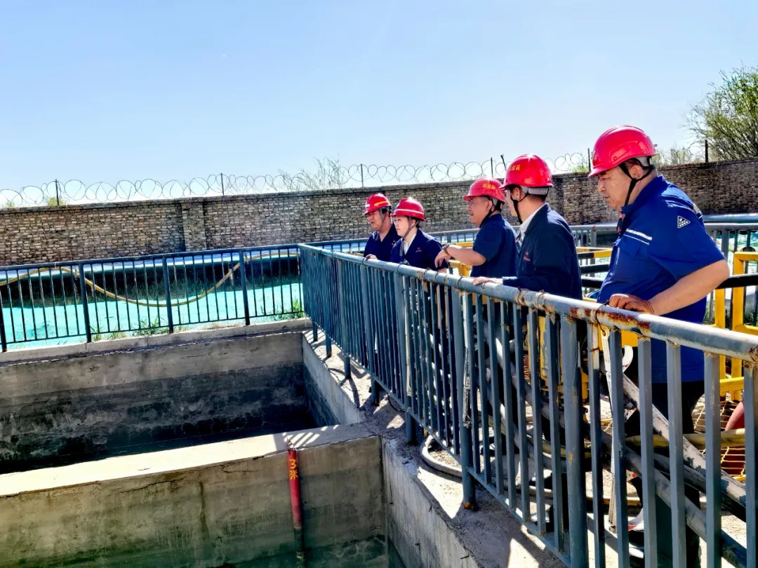 1715567241596236.jpeg 1.jpg