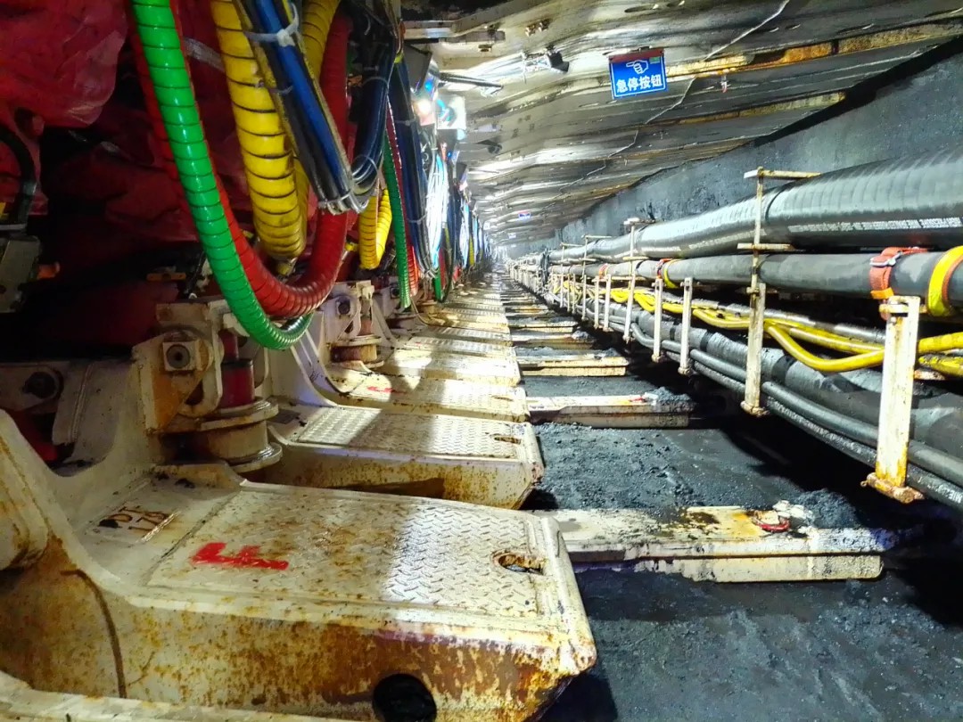 1717459175727652.jpeg 3.jpg