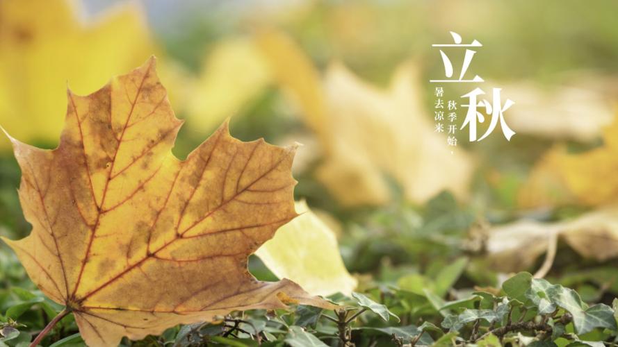 ͼƬһ ��ƽ������ͼƬ �ṩ��-�����.jpeg