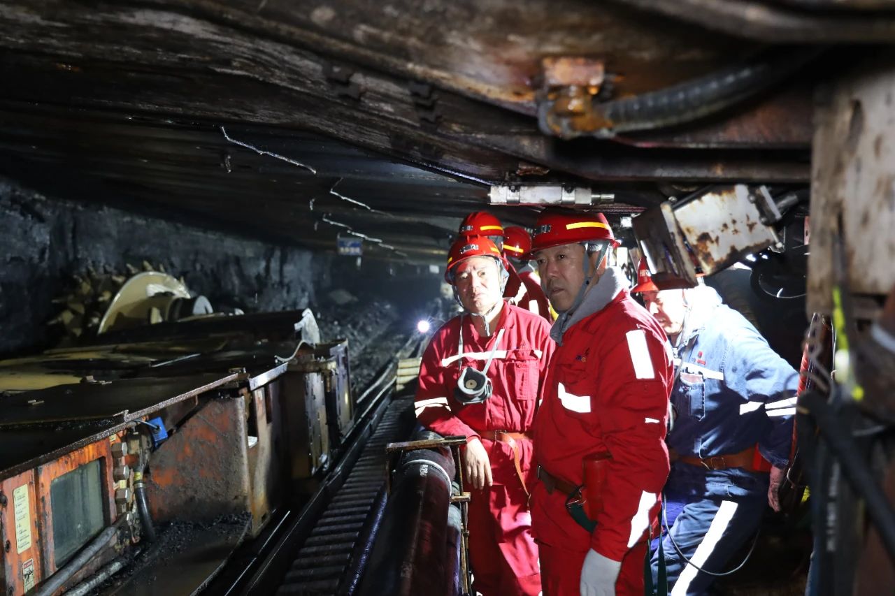 1729153516112662.jpeg 2.jpg