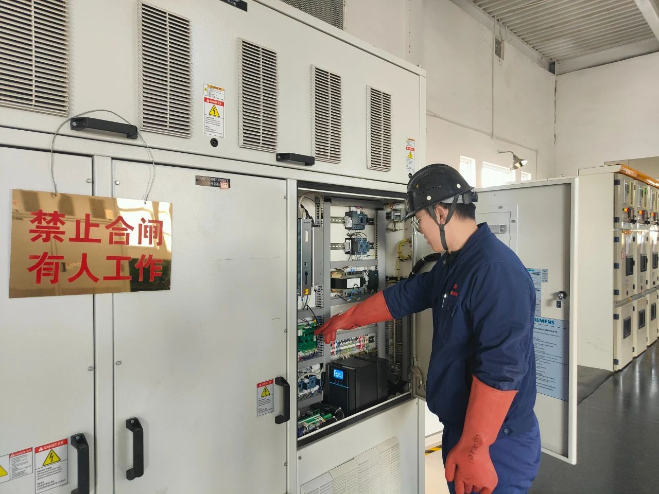 1734415151101436.jpeg 1.jpg