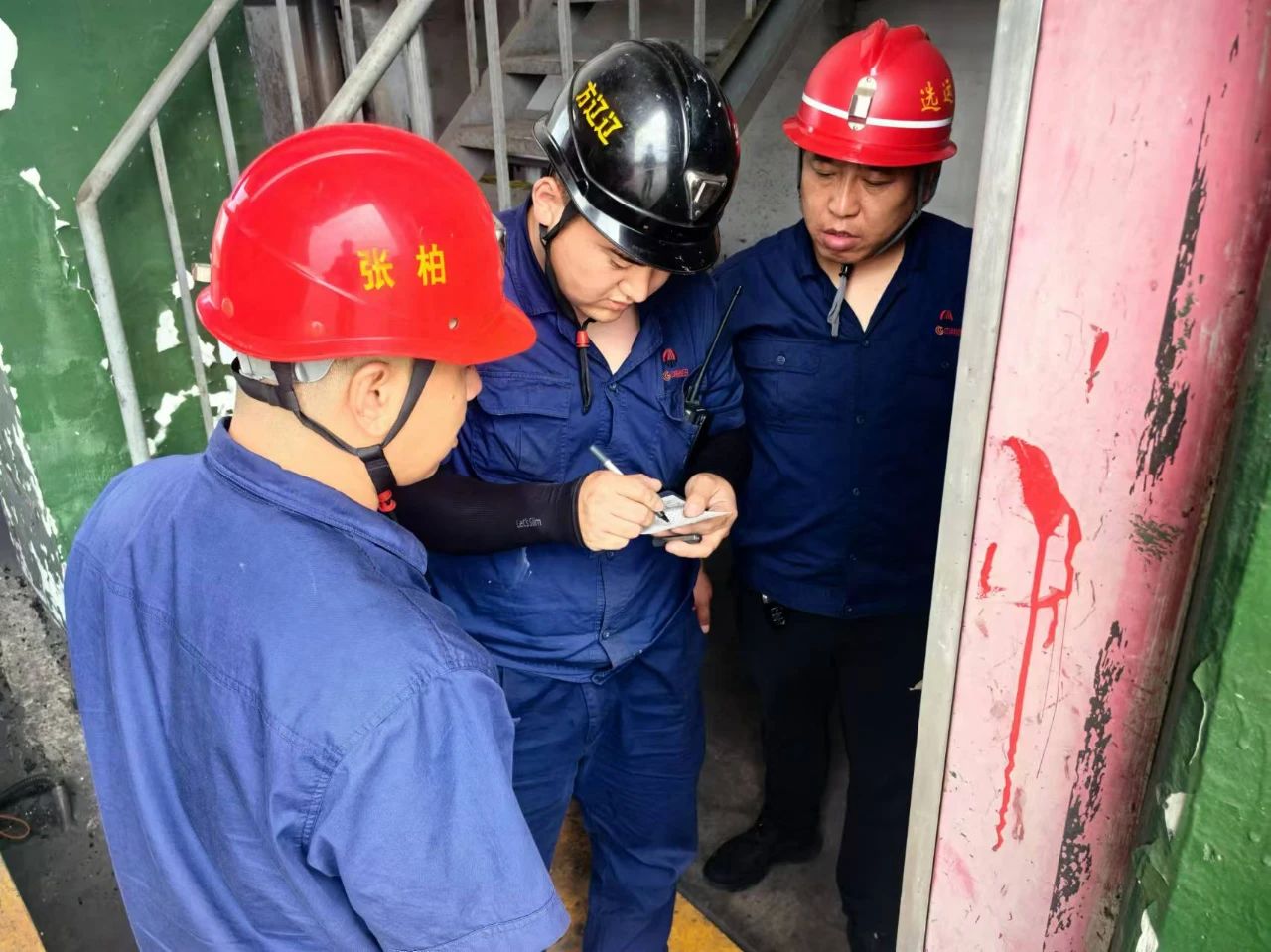 1734415161291332.jpeg 2.jpg