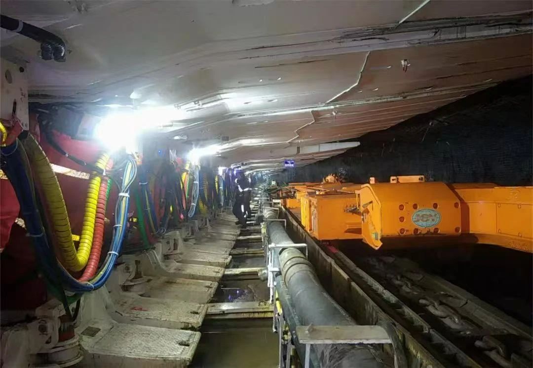 1736931035351371.jpeg 1.jpg