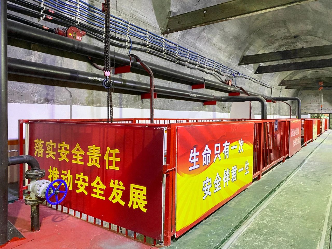 1737331834571163.jpeg 2.jpg