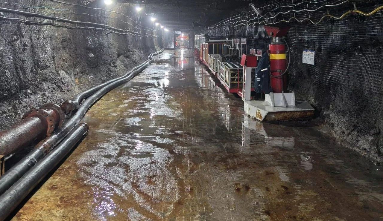 1737945978468655.jpeg 1.jpg