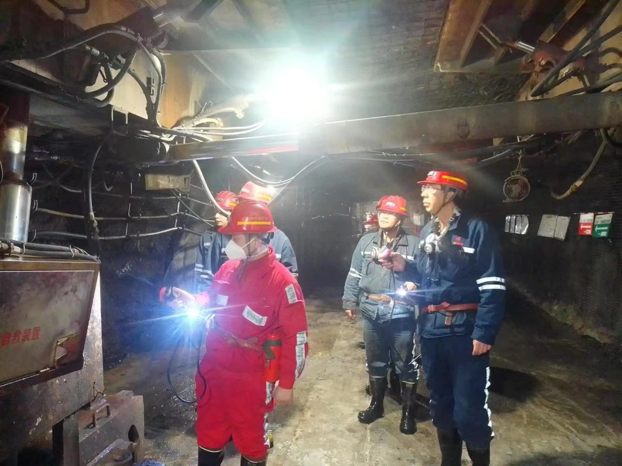 1738542724925799.jpeg 3.jpg