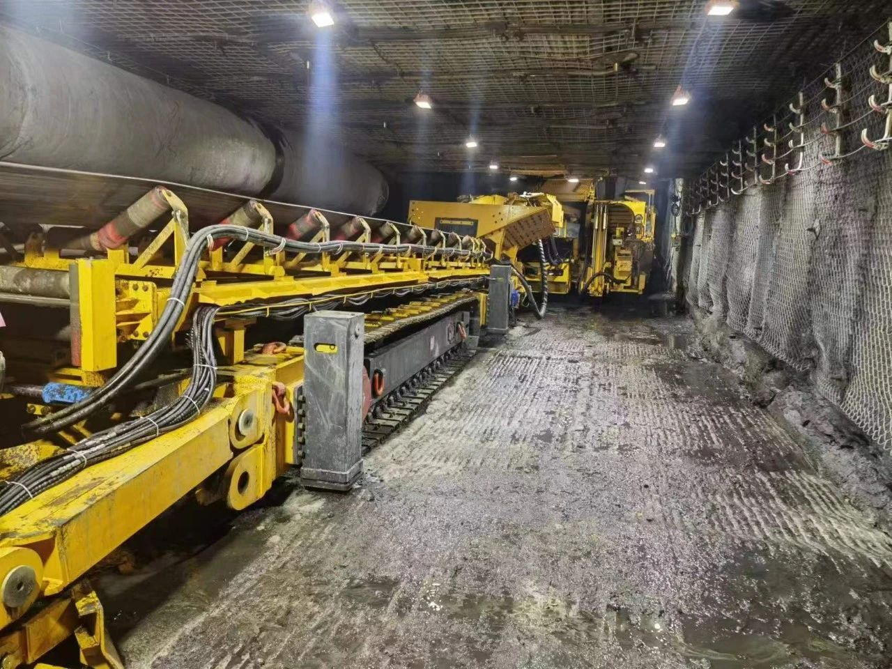 1746492029206751.jpeg 1.jpg