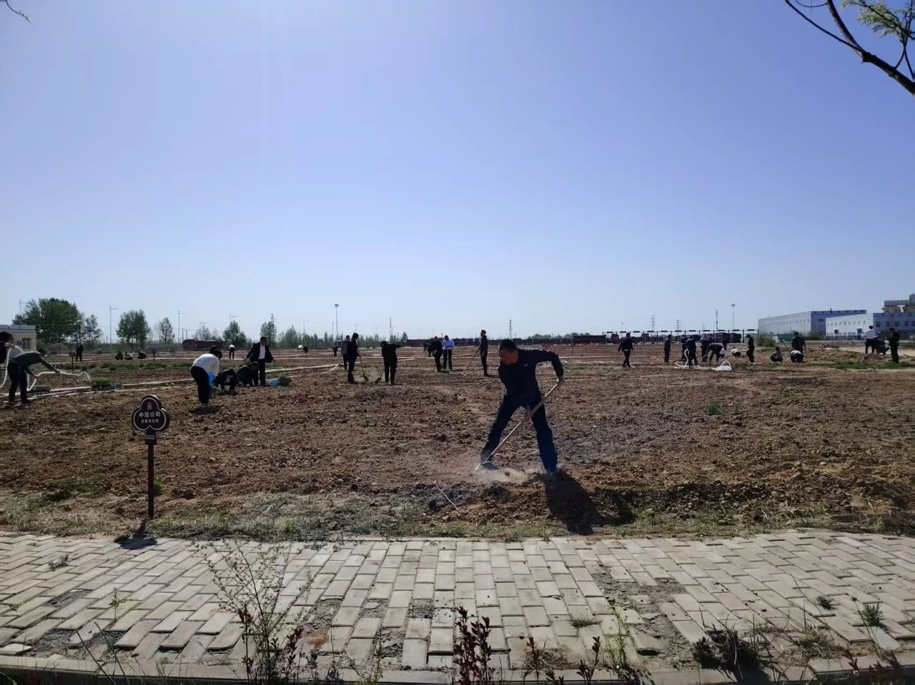 1746493377794282.jpeg 1.jpg