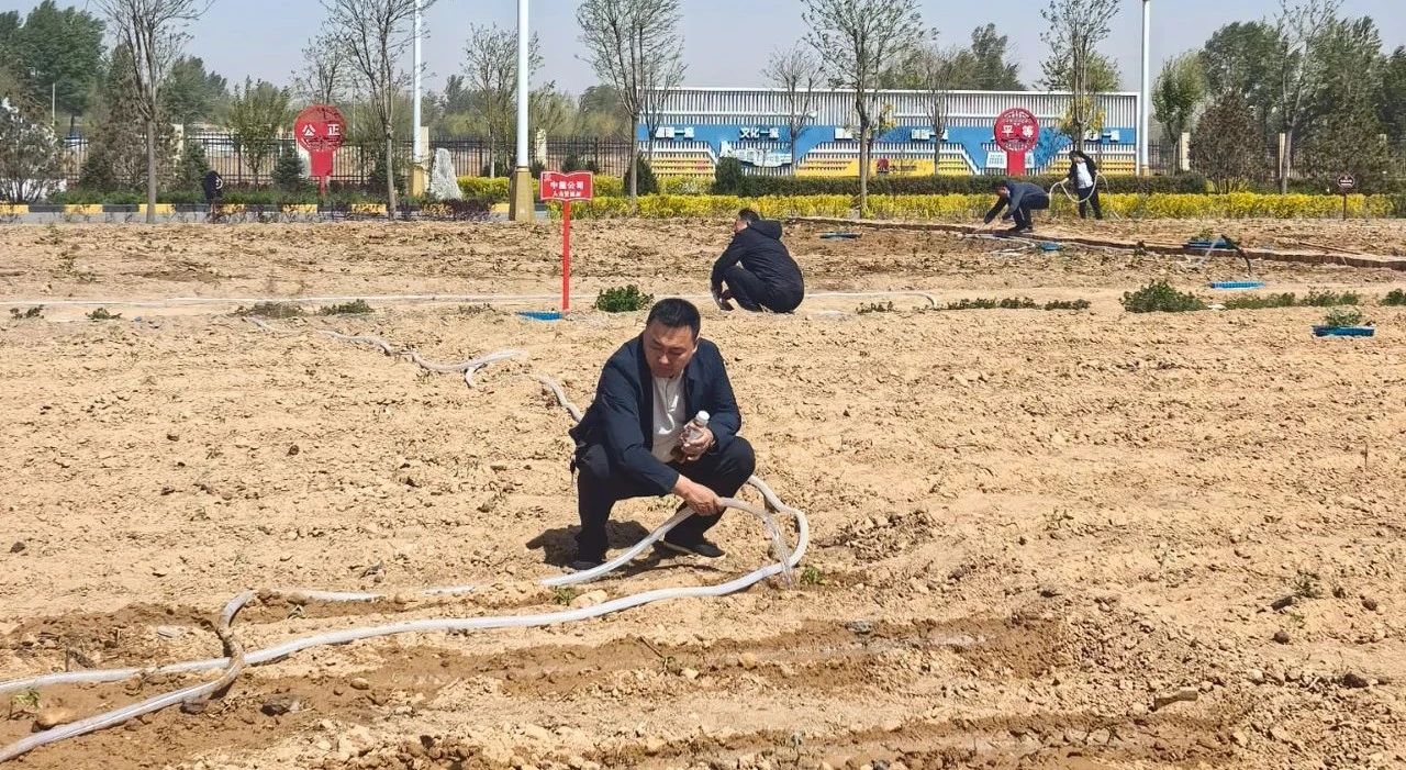 1746493387970288.jpeg 2.jpg