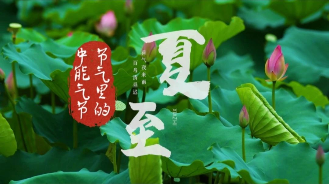 1750842193506937.jpeg 1.jpg