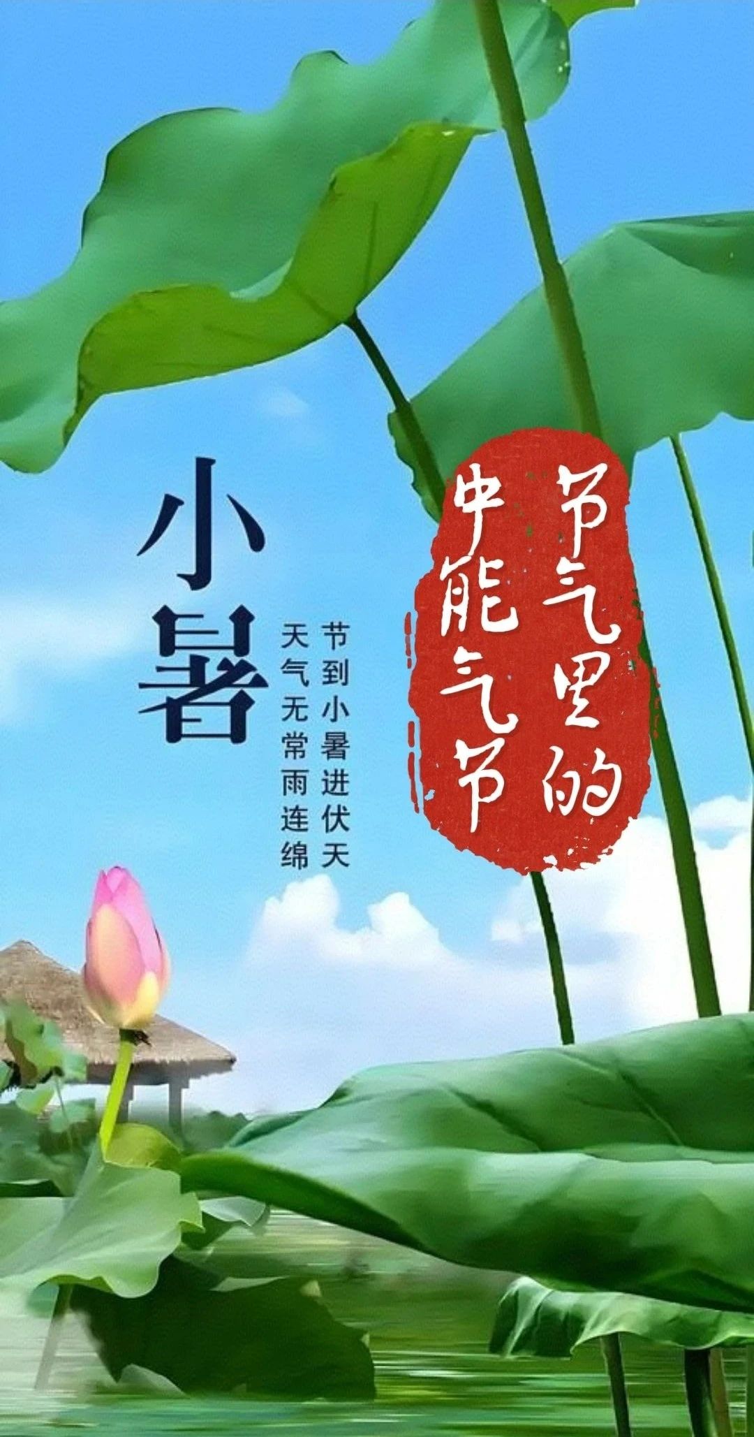 1752041001895018.jpeg 1.jpg