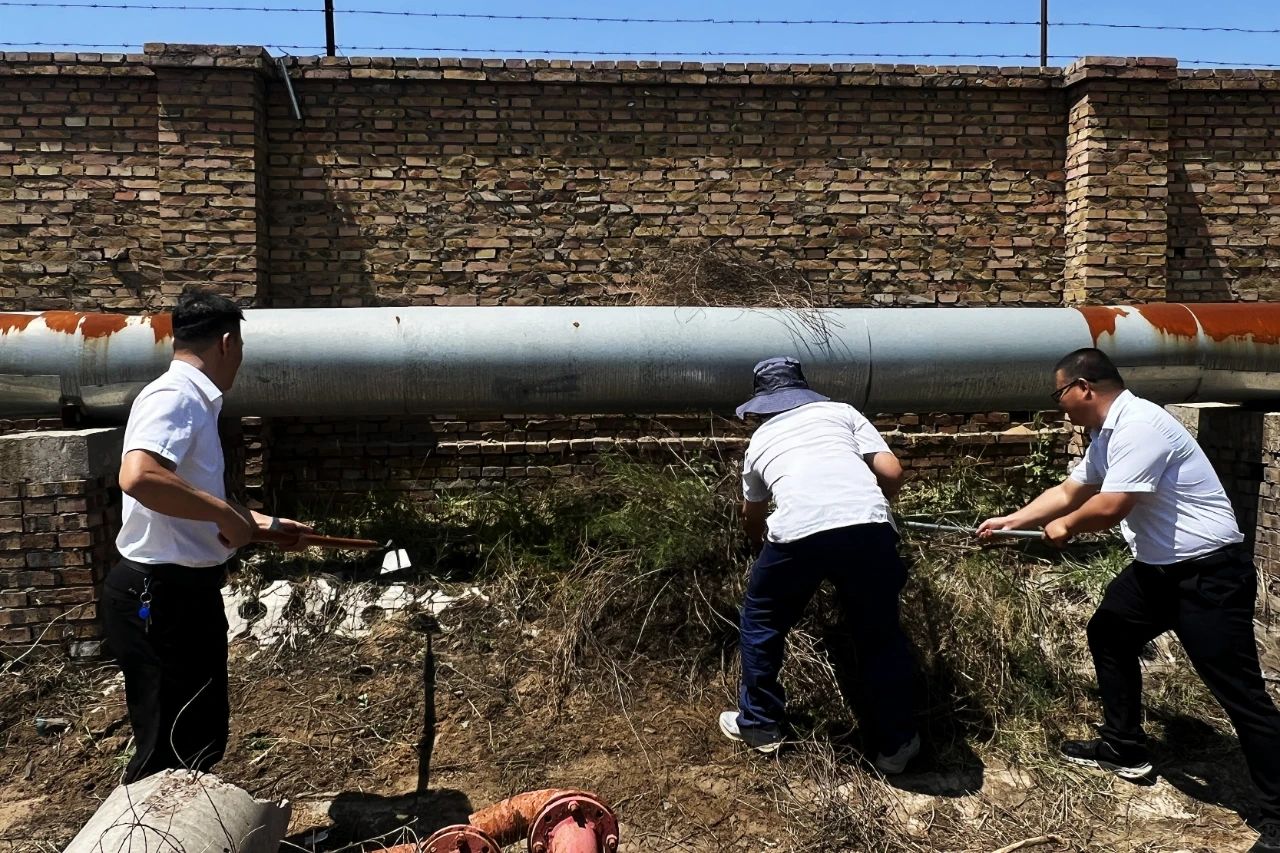 1752046350979768.jpeg 3.jpg