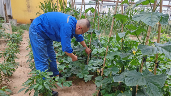 1752281577830297.png 3.png