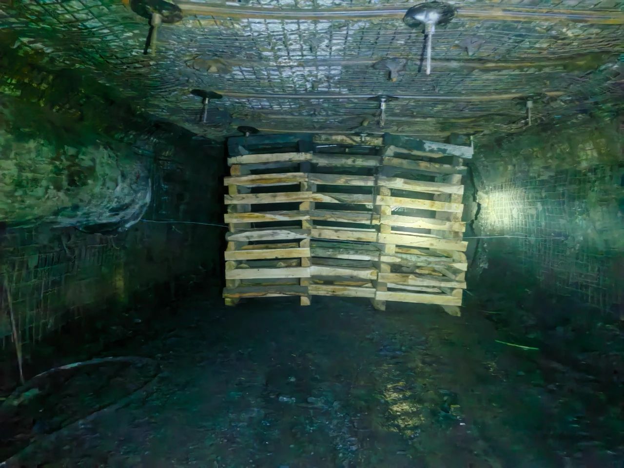 1754699685688616.jpeg 2.jpg