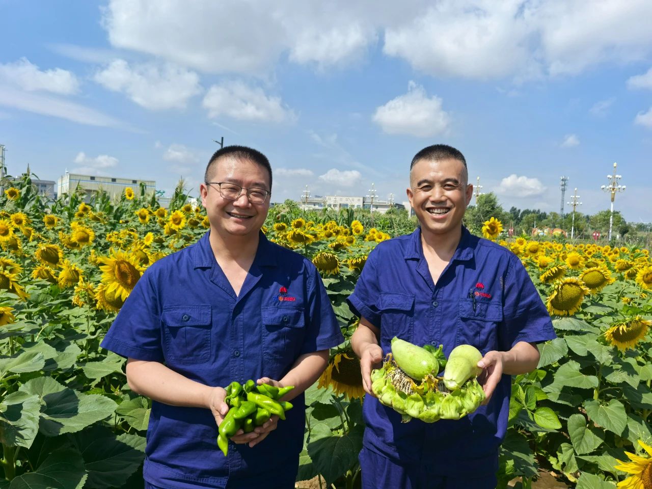 1755757552887834.jpeg 2.jpg