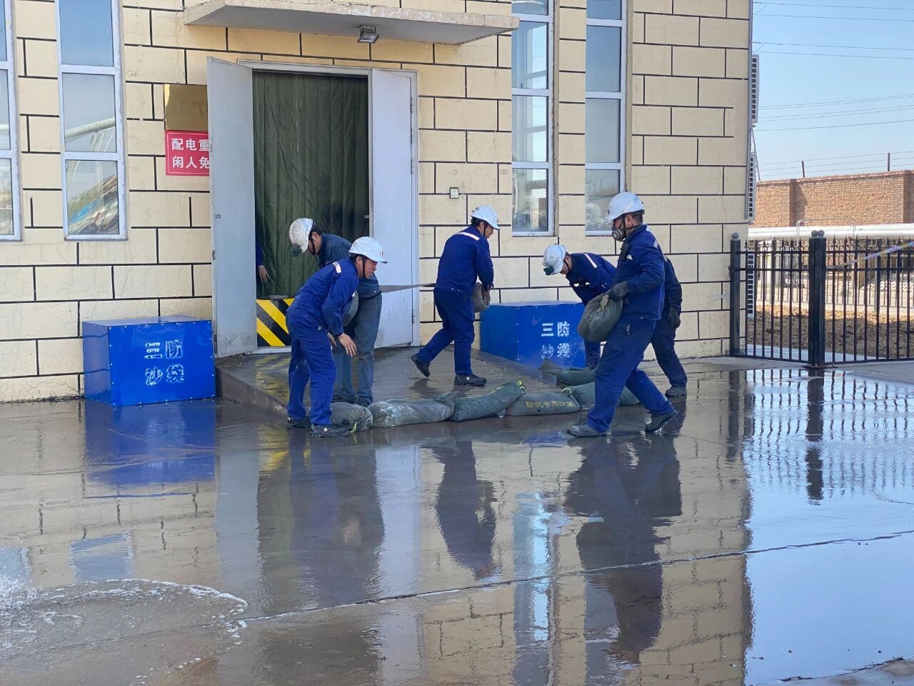 1757032497717272.jpeg 1757032497717272.jpeg