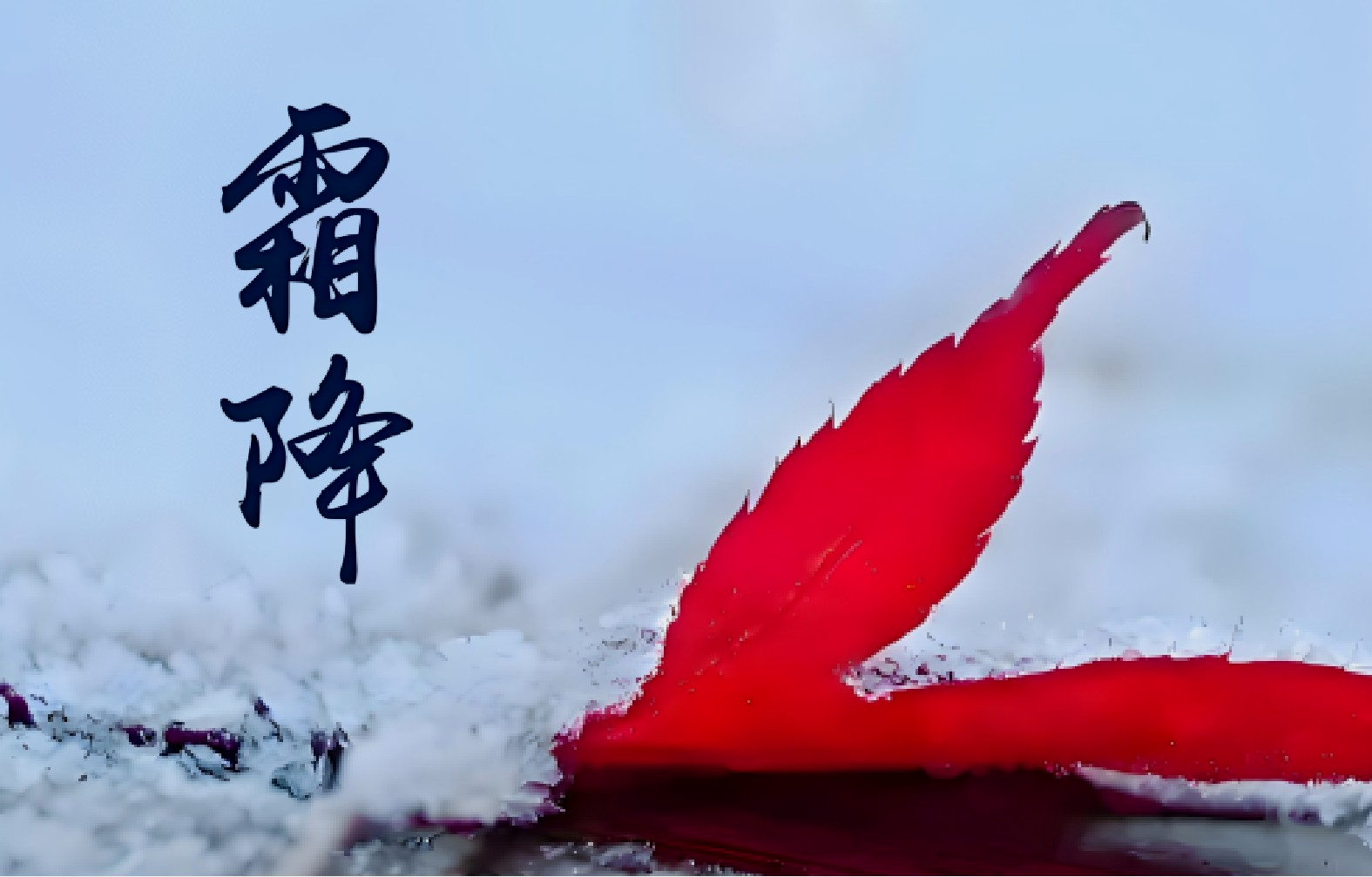 1761264856500868.png 1.png