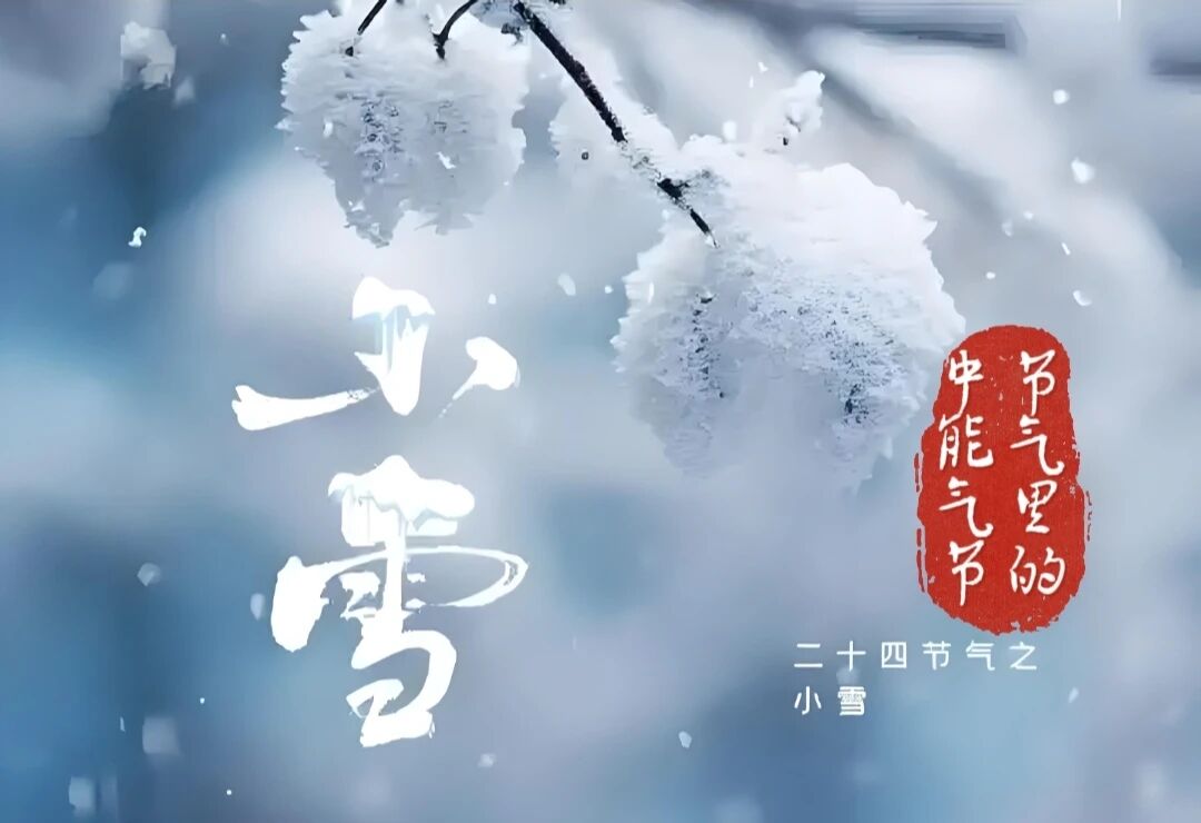 1764036455760258.jpeg 1.jpg