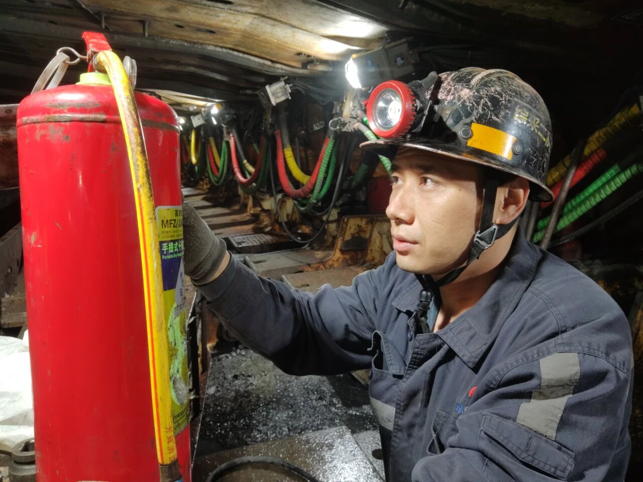 1764807304374118.jpeg 2.jpg