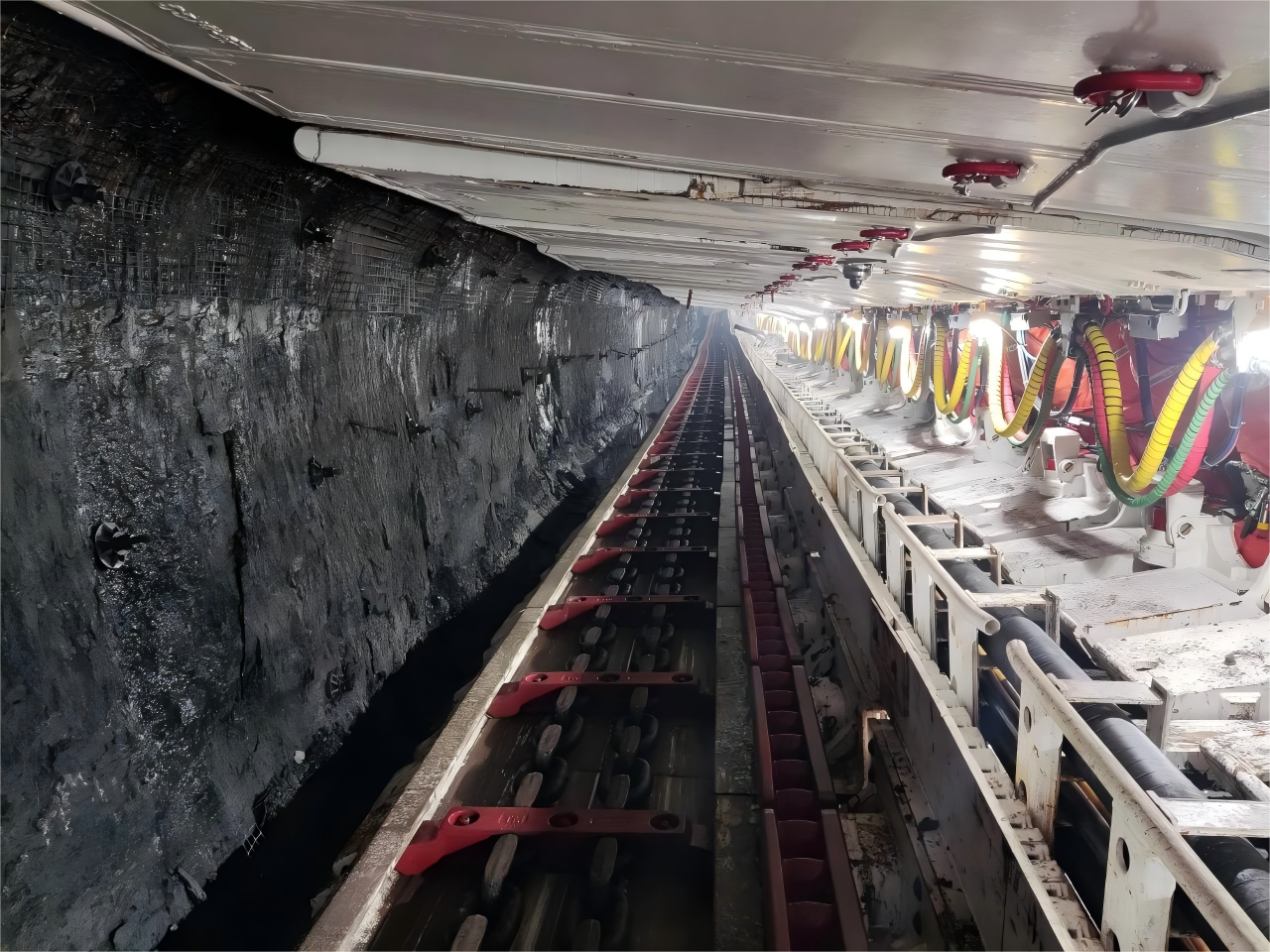 1765324621669067.png 2.png