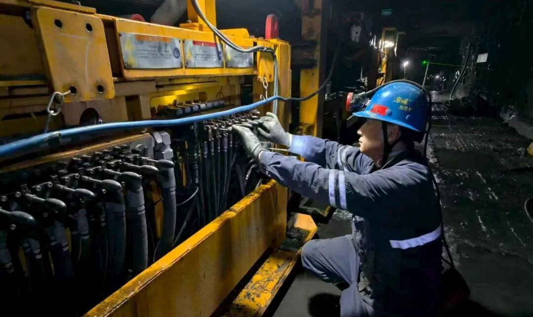 1767057409741869.jpeg 1767057409741869.jpeg