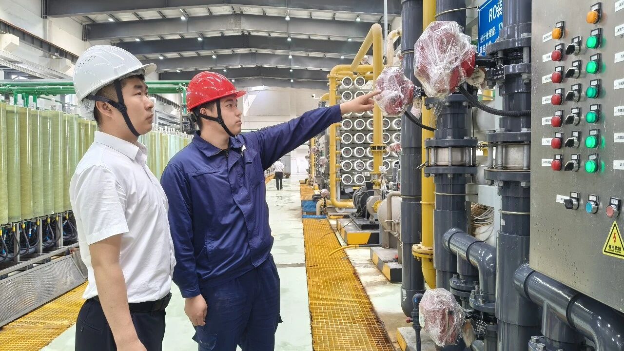 1767226796703845.jpeg 1.jpg