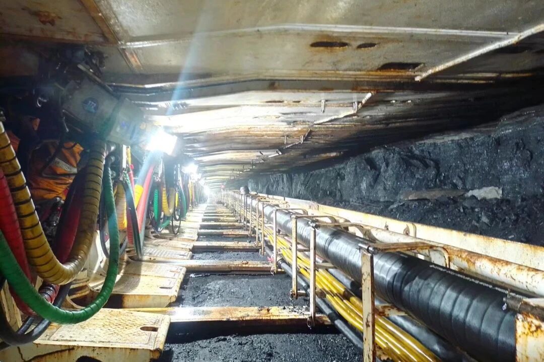 1767770115557753.jpeg 3.jpg