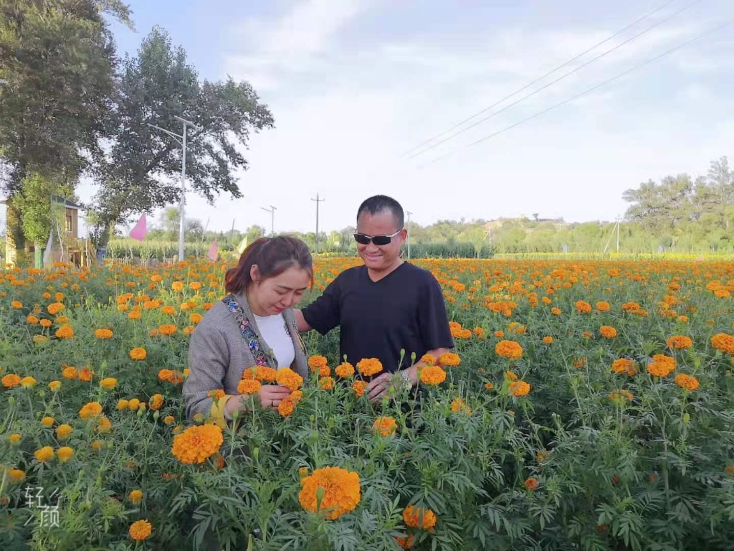 008PG����(�й���)-�ٷ���վ