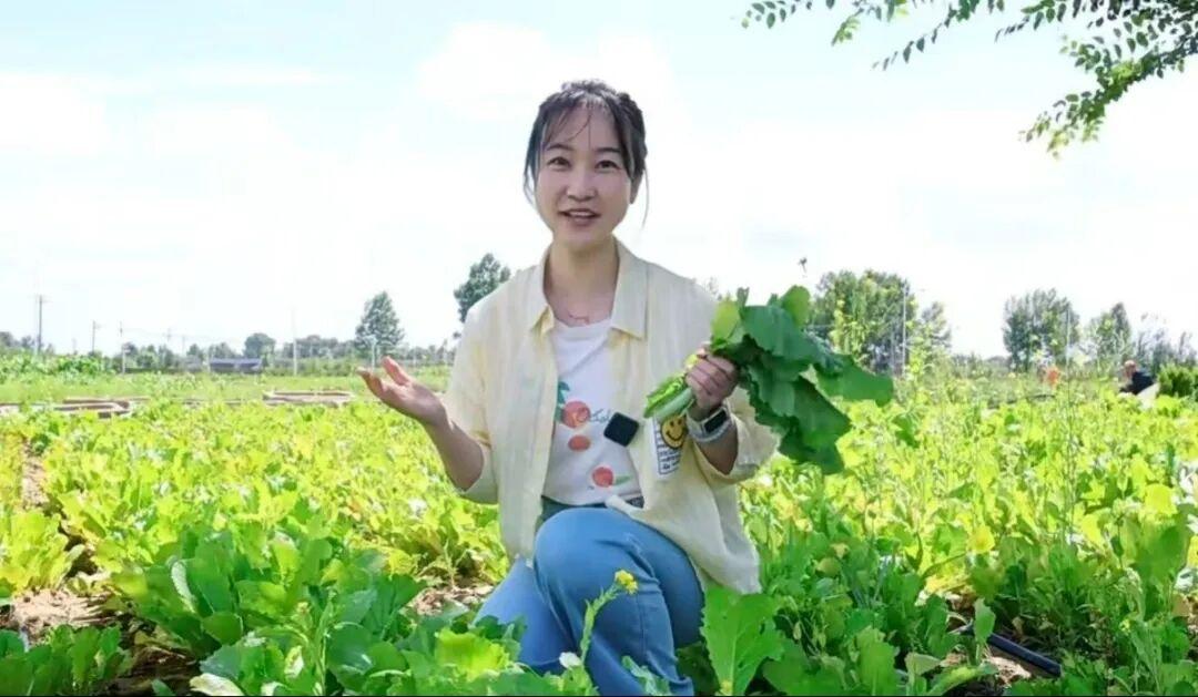 008PG����(�й���)-�ٷ���վ