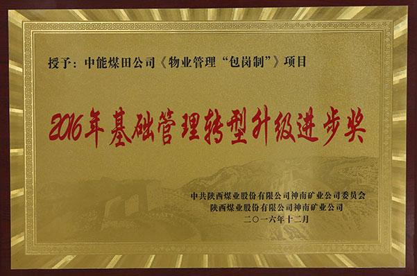 008PG����(�й���)-�ٷ���վ